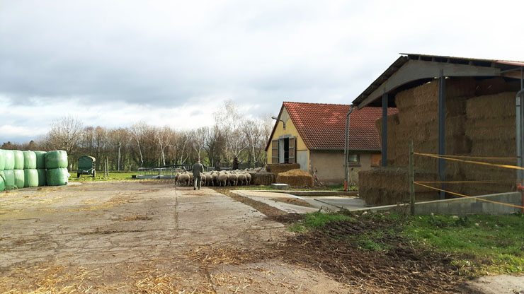 Lebenswege Halle - Heimkehr 2016